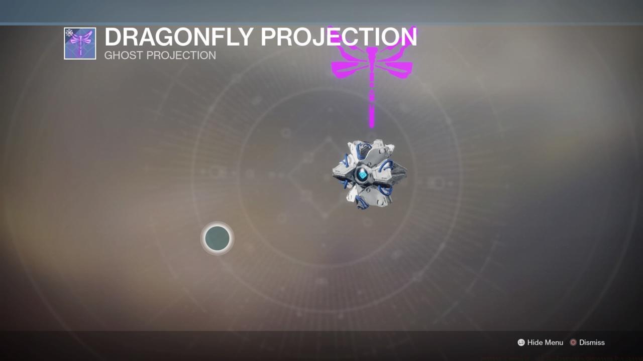 Dragonfly Ghost Projection